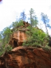 PICTURES/Sedona  West Fork Trail/t_Red Rock Along Creek4.JPG